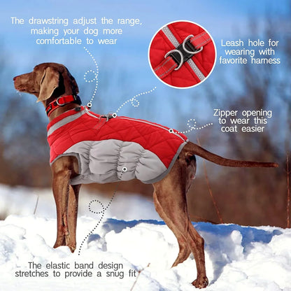Manteau d'Hiver en Polaire Chaud pour Chien - Gilet Imprimé Écologique