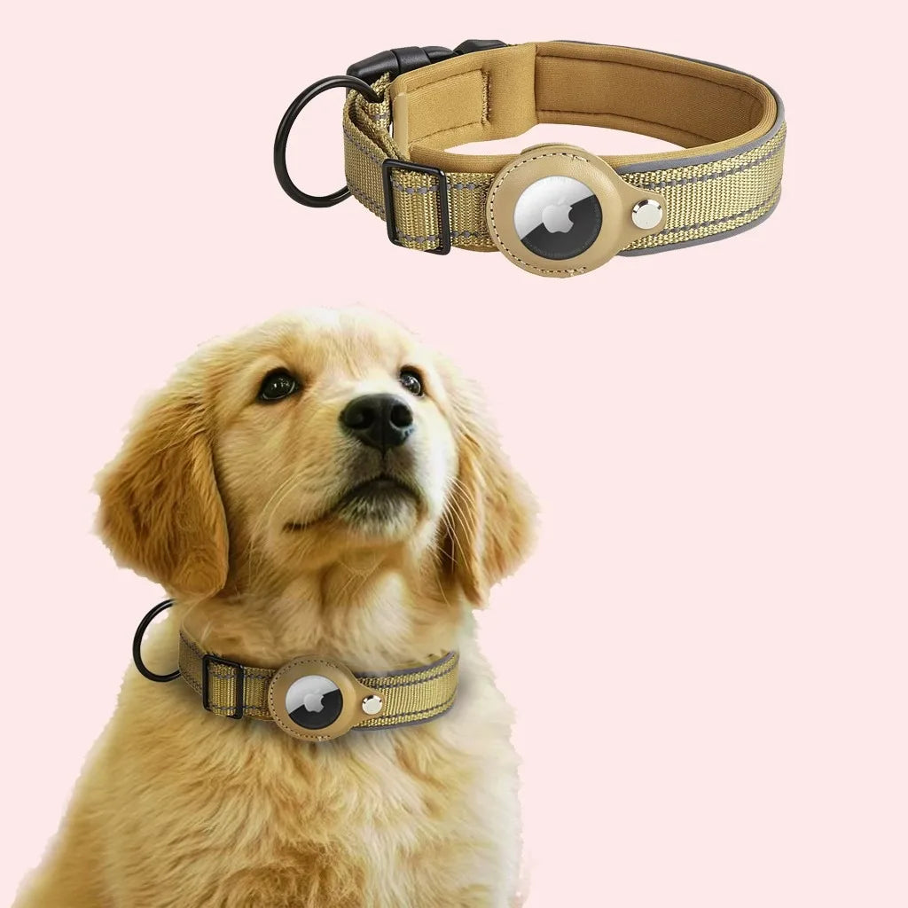 Collier en Nylon Réfléchissant Ajustable pour Chien avec Housse AirTag