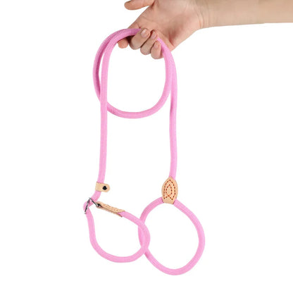 Laisse Coulissante en Nylon Durable pour Chien pour un Contrôle Sécurisé