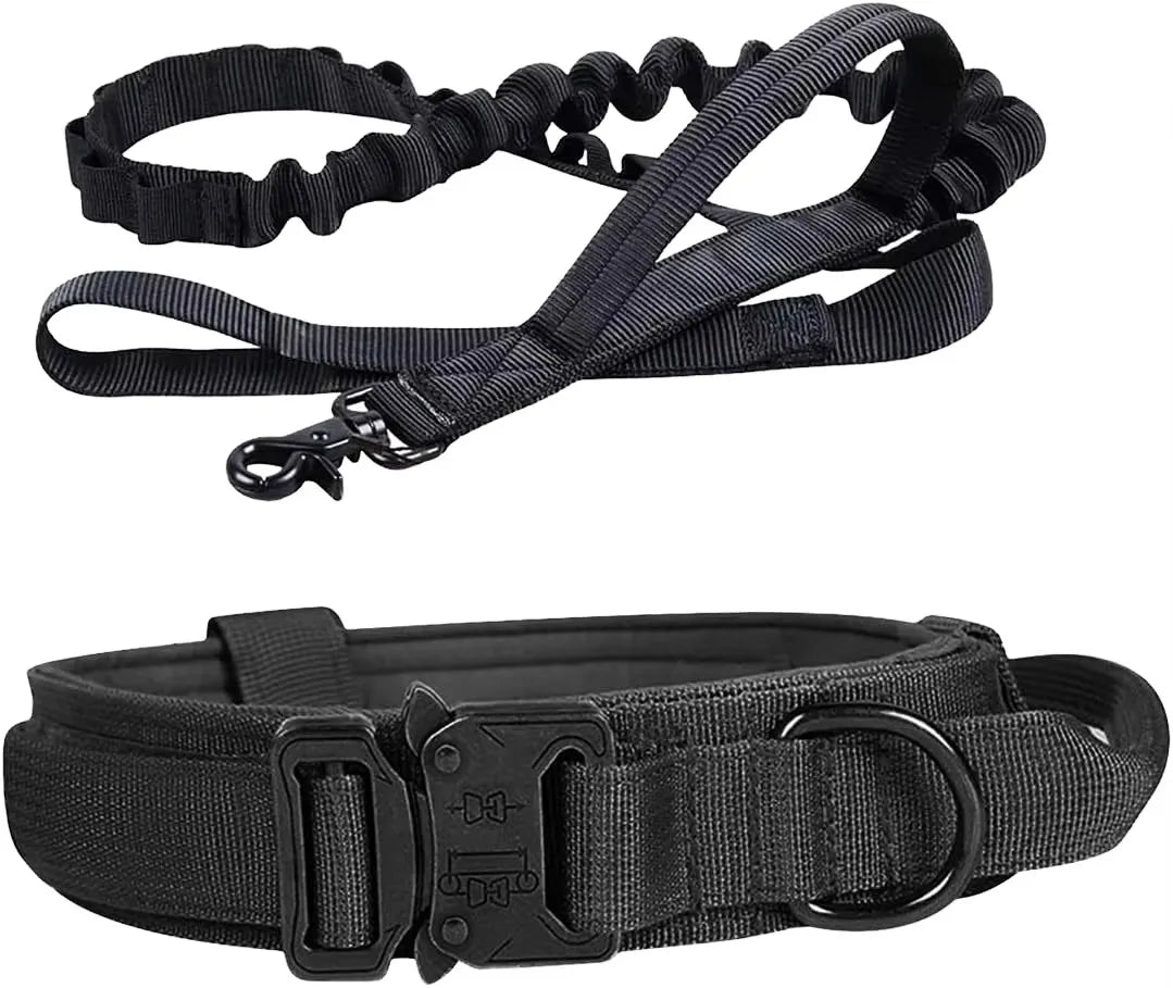 Laisse de Dressage pour Chien en Nylon Durable pour Races Moyennes et Grandes