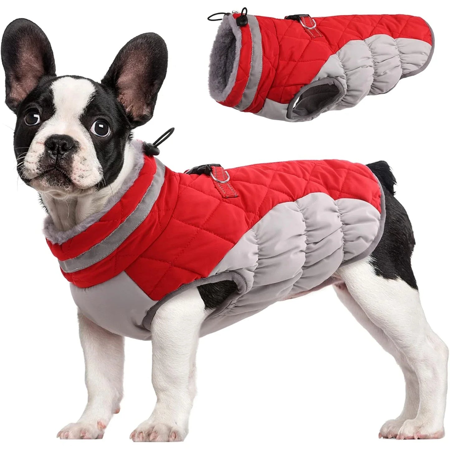 Manteau d'Hiver en Polaire Chaud pour Chien - Gilet Imprimé Écologique
