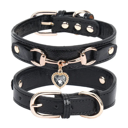 Collier pour chien en cuir PU rembourré et confortable pour petites races