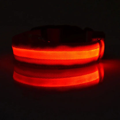Collier LED Clignotant SinSky pour Animaux de Compagnie pour Visibilité et Sécurité Nocturnes