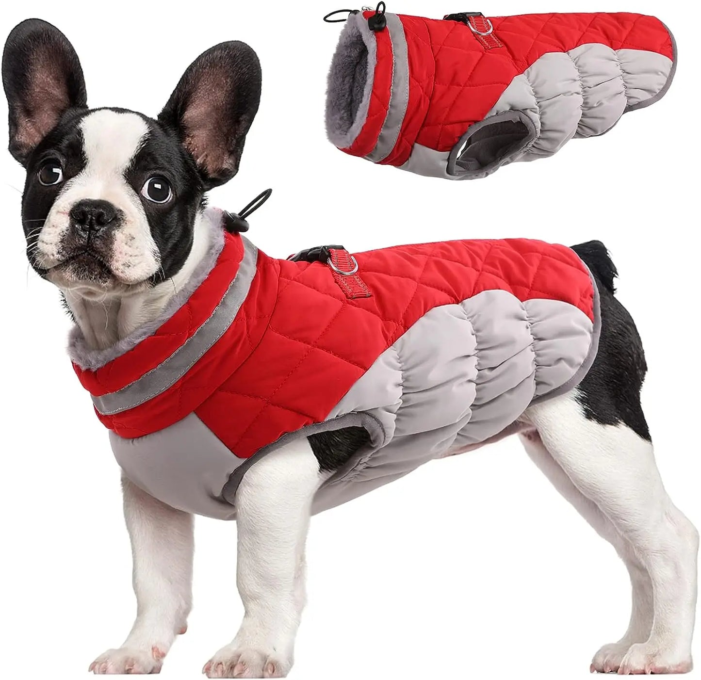 Manteau d'Hiver en Polaire Chaud pour Chien - Gilet Imprimé Écologique