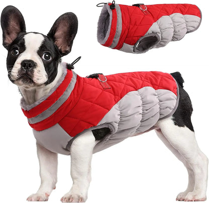Manteau d'Hiver en Polaire Chaud pour Chien - Gilet Imprimé Écologique