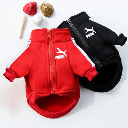 Gilet d'Hiver Classique et Chaud pour Chien - Manteau Isolant pour Animaux