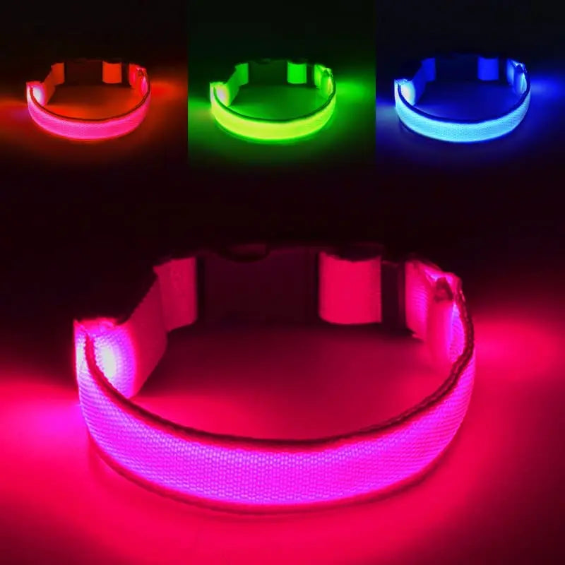 Collier LED Clignotant SinSky pour Animaux de Compagnie pour Visibilité et Sécurité Nocturnes