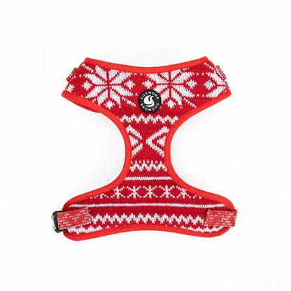 Ensemble de Harnais Ajustable en Tricot pour Animaux pour des Promenades Confortables