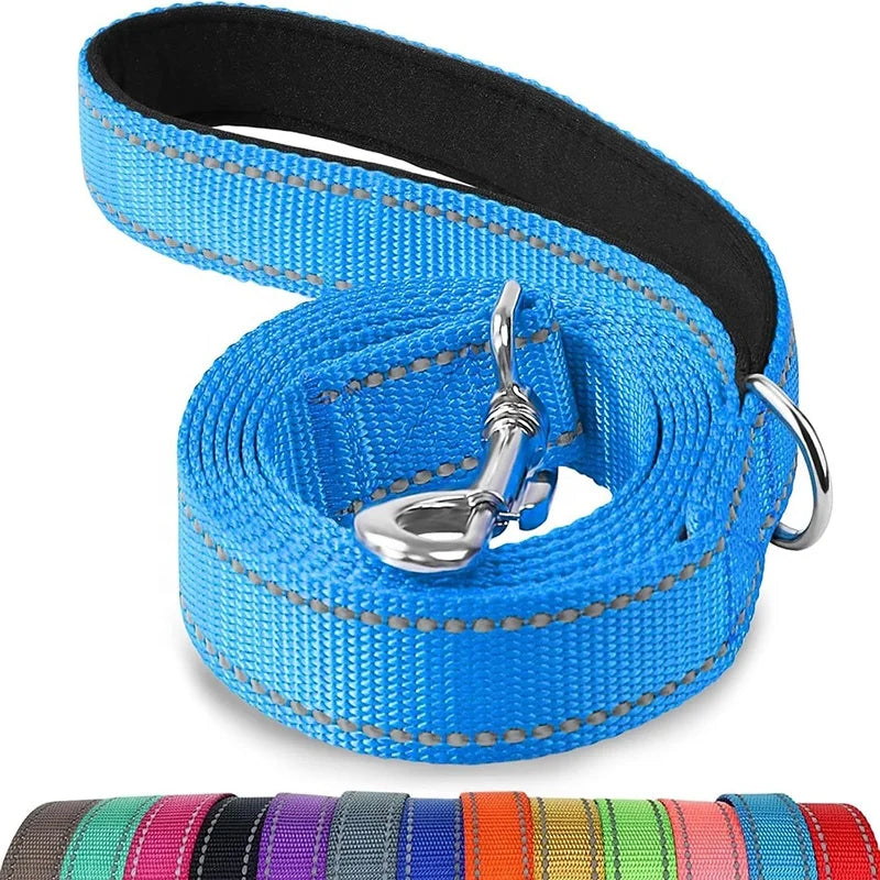 Laisse réglable en nylon réfléchissant pour chien pour des promenades quotidiennes sécurisées