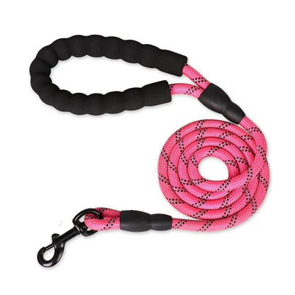 Laisse pour chien en nylon tressé robuste pour une promenade en toute sécurité