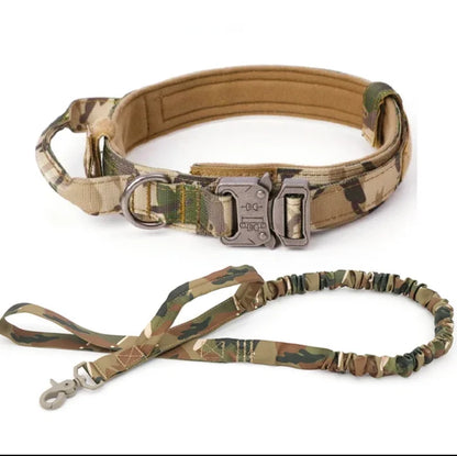 Laisse de Dressage pour Chien en Nylon Durable pour Races Moyennes et Grandes