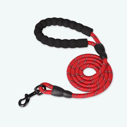 Laisse pour Chien en Nylon Réfléchissant Bold pour Promenades Nocturnes Sécurisées