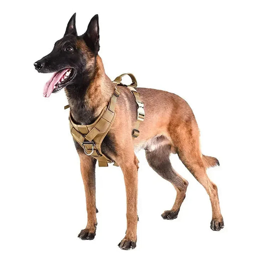 Harnais tactique pour chien pour un contrôle sûr et un confort optimal