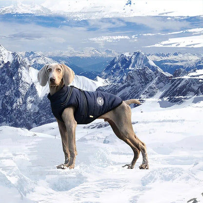 Manteau d'hiver imperméable pour animaux avec harnais intégré pour chiens et chats