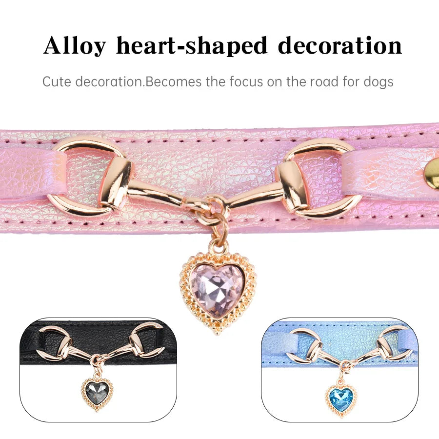 Collier pour chien en cuir PU rembourré et confortable pour petites races