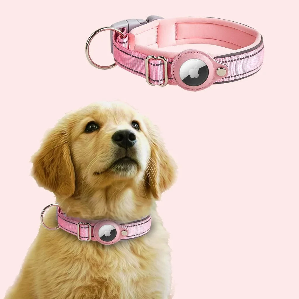 Collier en Nylon Réfléchissant Ajustable pour Chien avec Housse AirTag