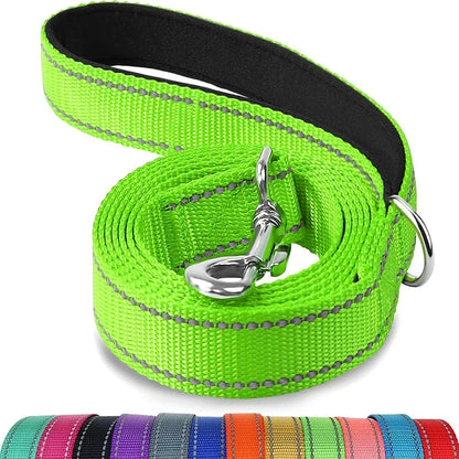 Laisse réglable en nylon réfléchissant pour chien pour des promenades quotidiennes sécurisées