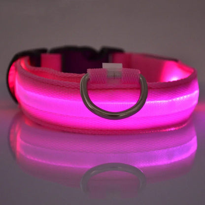 Collier LED Clignotant SinSky pour Animaux de Compagnie pour Visibilité et Sécurité Nocturnes