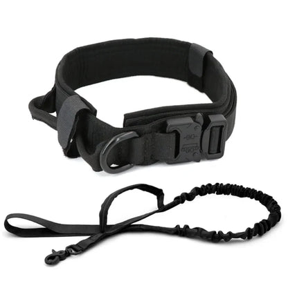 Laisse de Dressage pour Chien en Nylon Durable pour Races Moyennes et Grandes