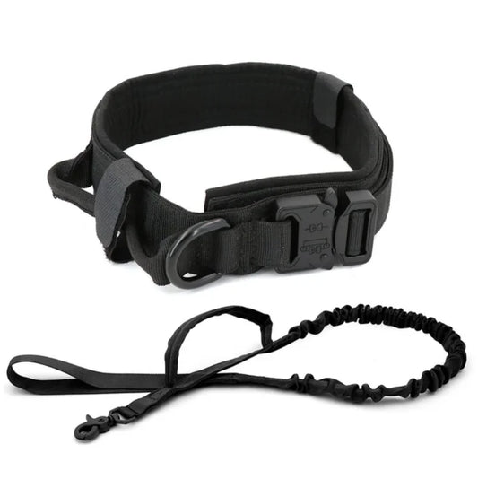 Laisse de Dressage pour Chien en Nylon Durable pour Races Moyennes et Grandes