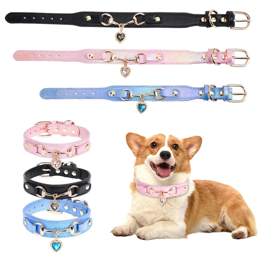 Collier pour chien en cuir PU rembourré et confortable pour petites races