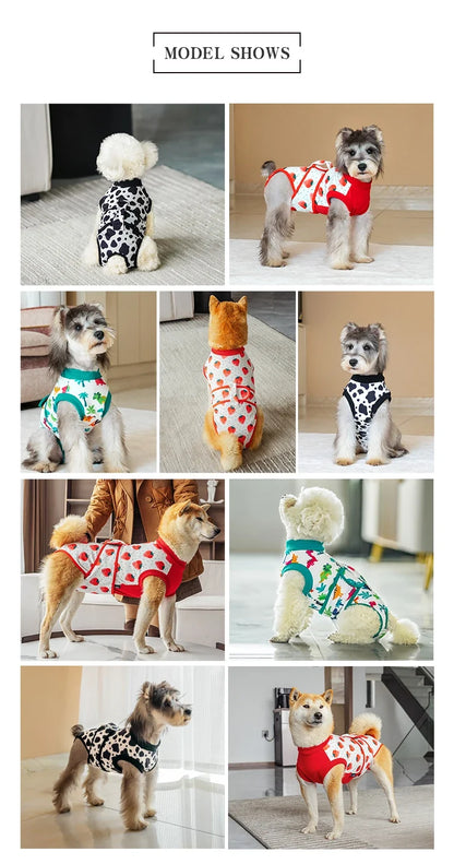 Combinaison de Récupération Post-Chirurgie pour Animaux - Couverture Abdominale Confortable