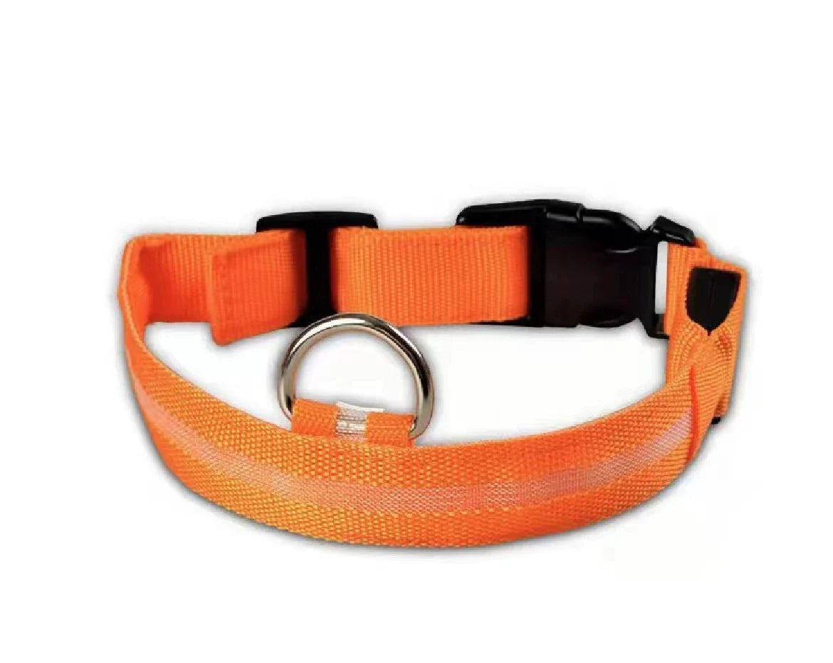 Collier LED Clignotant SinSky pour Animaux de Compagnie pour Visibilité et Sécurité Nocturnes